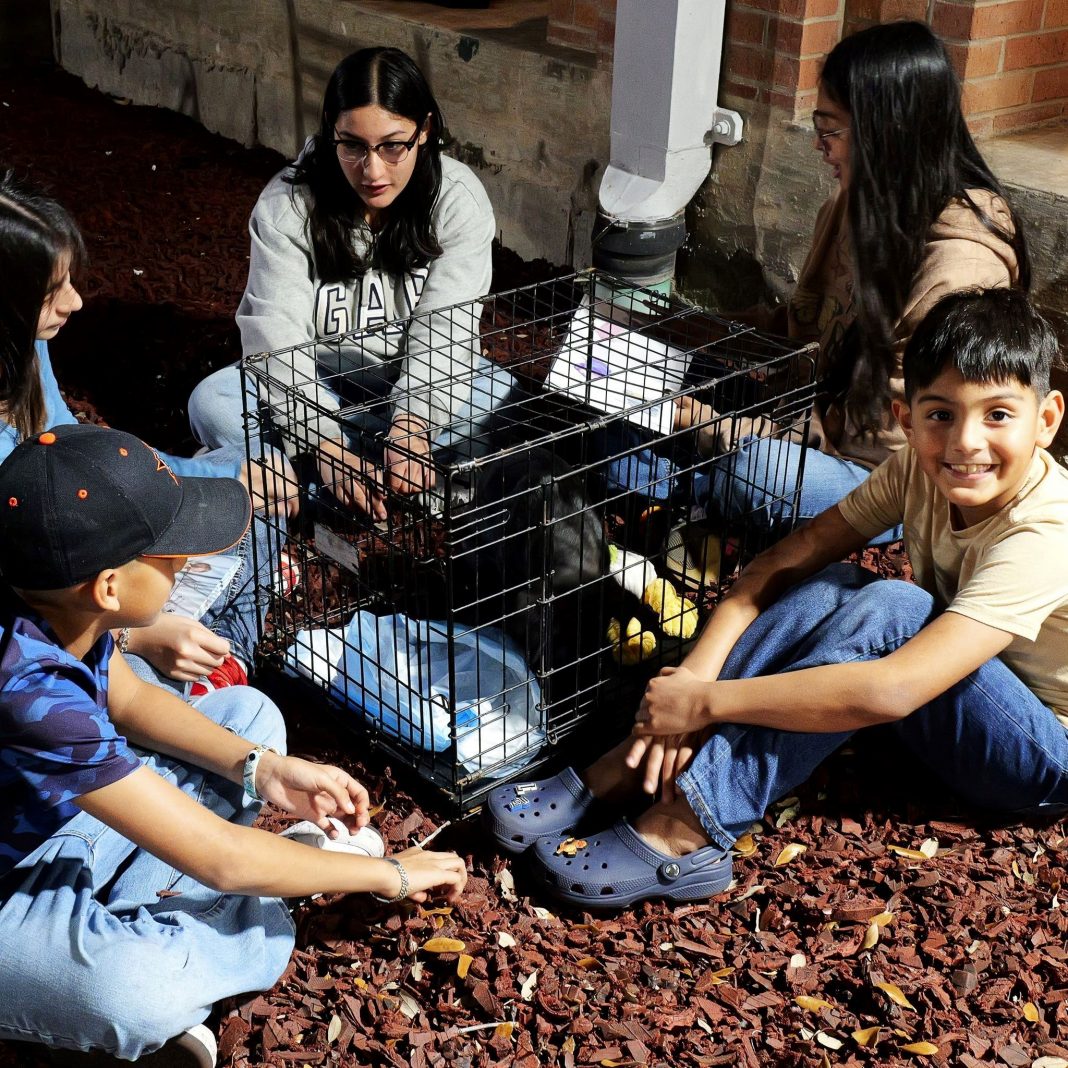 Brownsville Public Library Reading Buddies