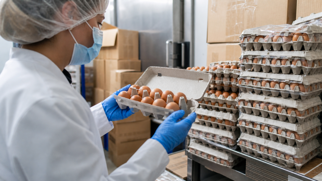 Health Officials Investigate Salmonella Outbreak Linked to Shell Eggs