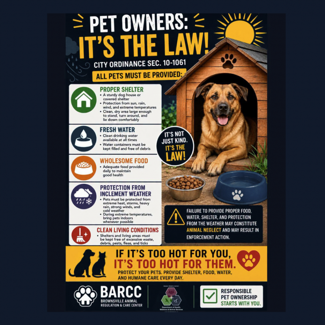 A Brownsville Animal Regulation and Care Center heat-safety graphic.