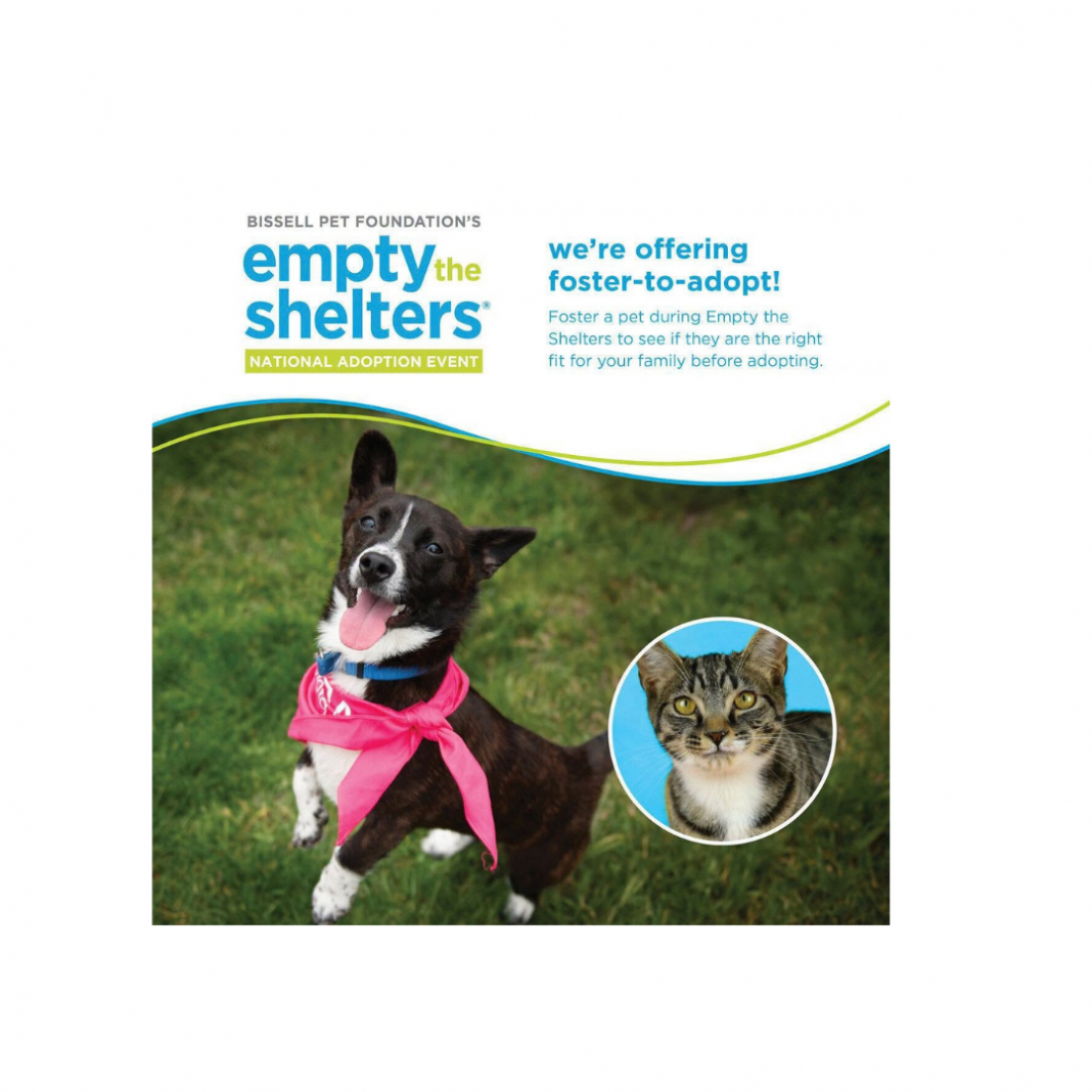 BARCC Offers $25 Adoptions During Bissell's Empty the Shelters Campaign